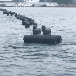 oyster_cages_milford_haven_2