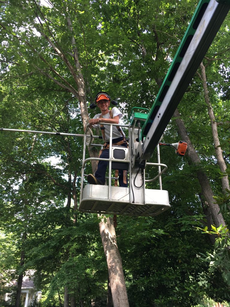 tanner lawn care on W T Hurst Lawn Care Gazette Journal