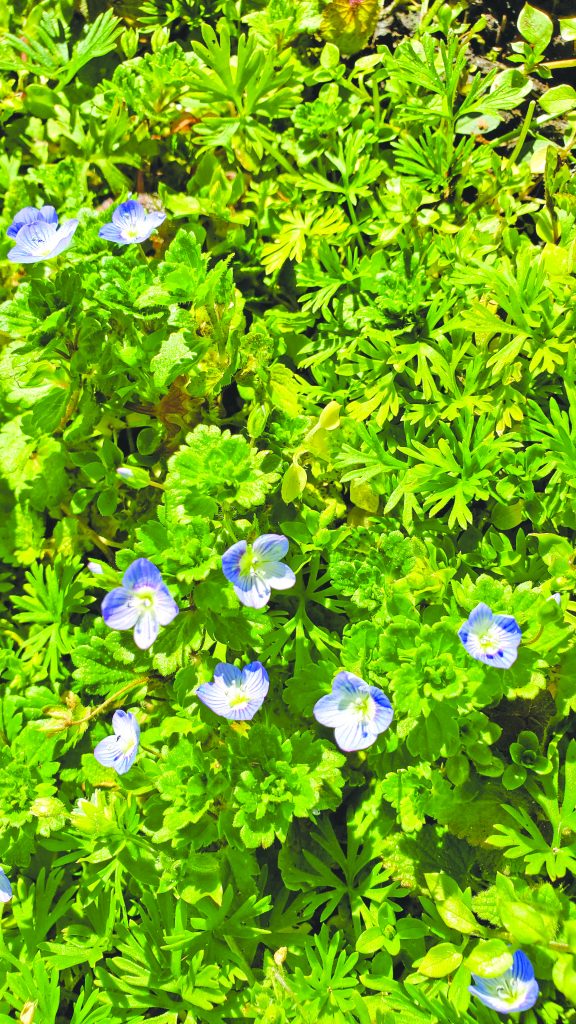 Change is in the air Gazette Journal