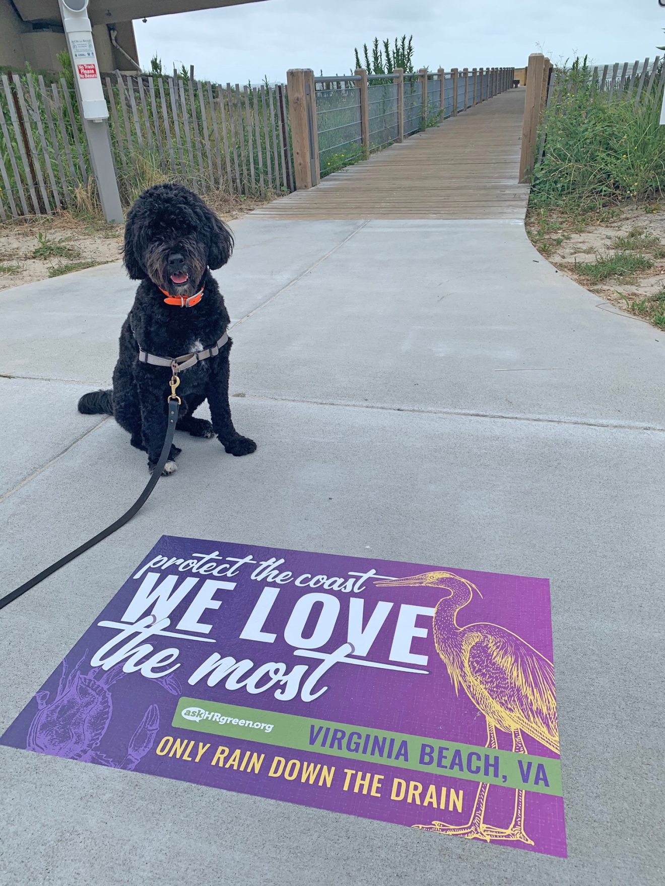 Sidewalk decals tout best advice for keeping bay clean Gazette Journal