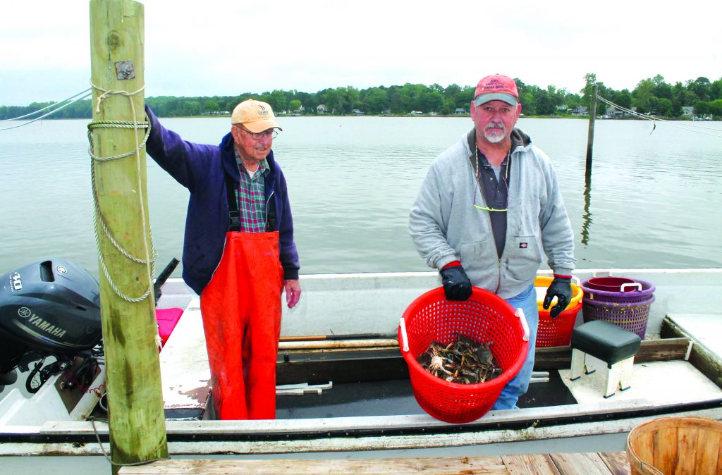 gloucester peeler pound crabs 9