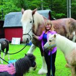 Nancie Roahrig recently moved her horse therapy nonprofit, Step Up into T.L.C. Inc.,
