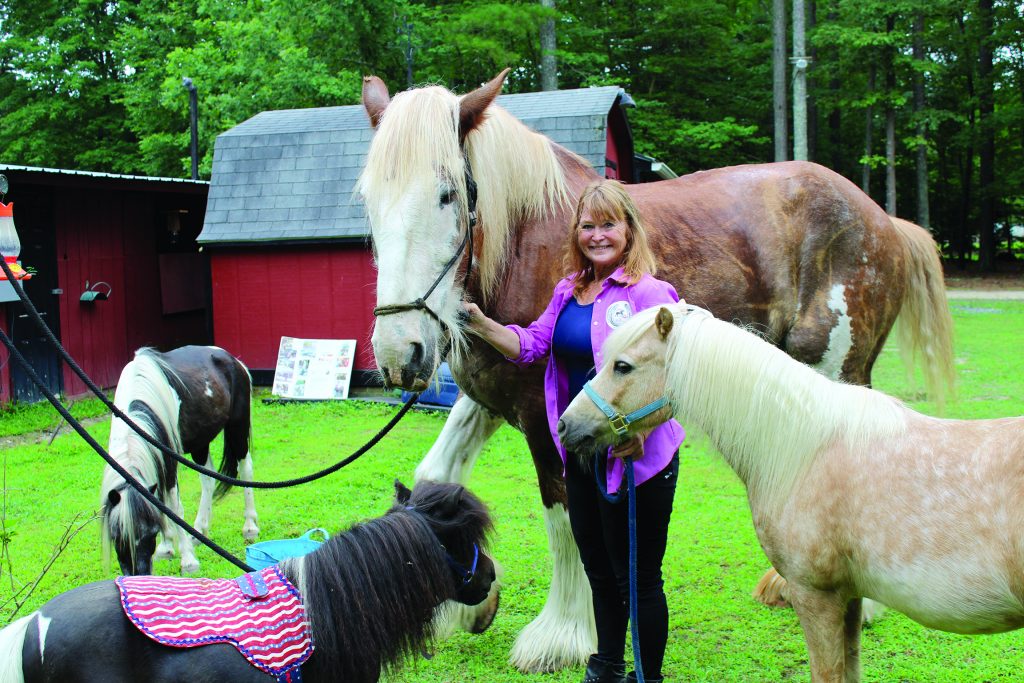 Nancie Roahrig recently moved her horse therapy nonprofit, Step Up into T.L.C. Inc.,