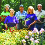 community plant extravaganza