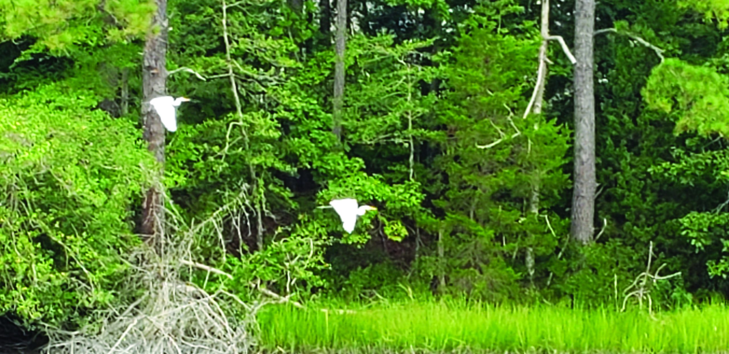 Late summer scenery Gazette Journal