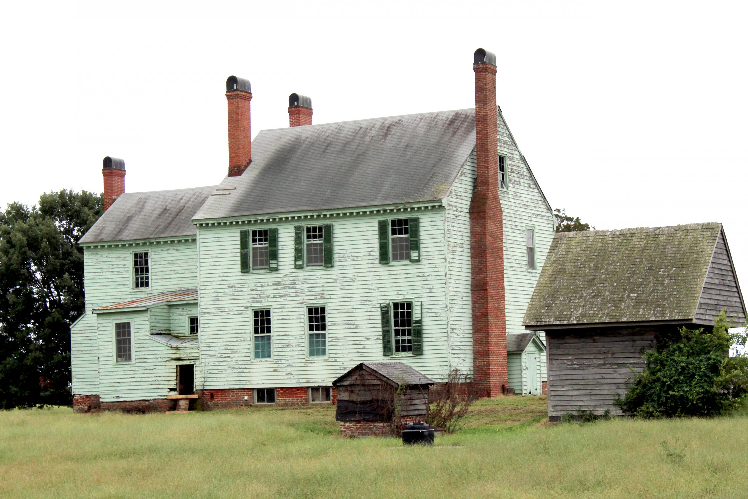 gloucester timberneck