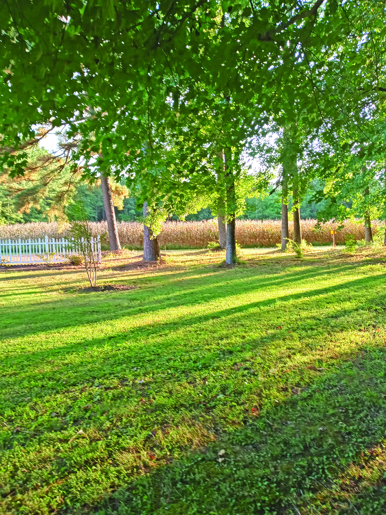 sunlight filter edit