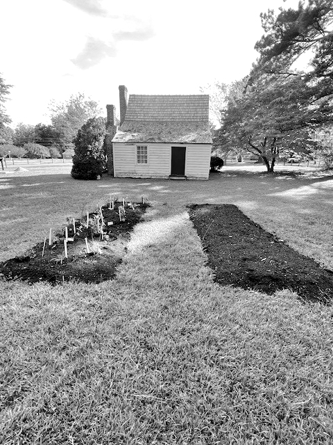 community herb garden