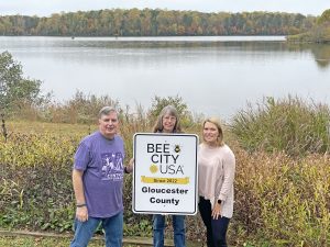 gloucester bee city