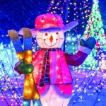 holiday calendar light shows deltaville lights
