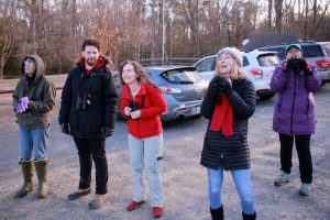 1a bird count