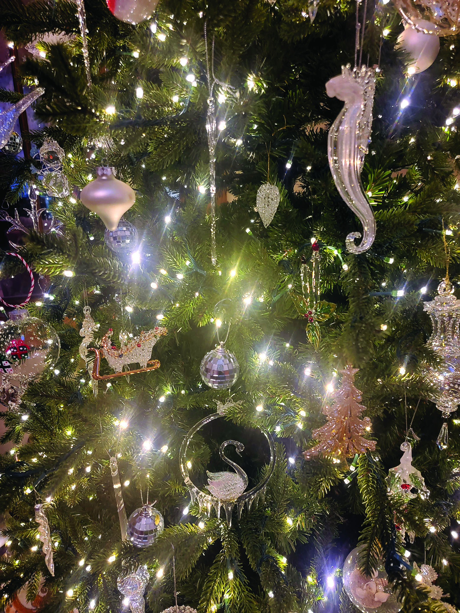 edit christmas decorations byrd