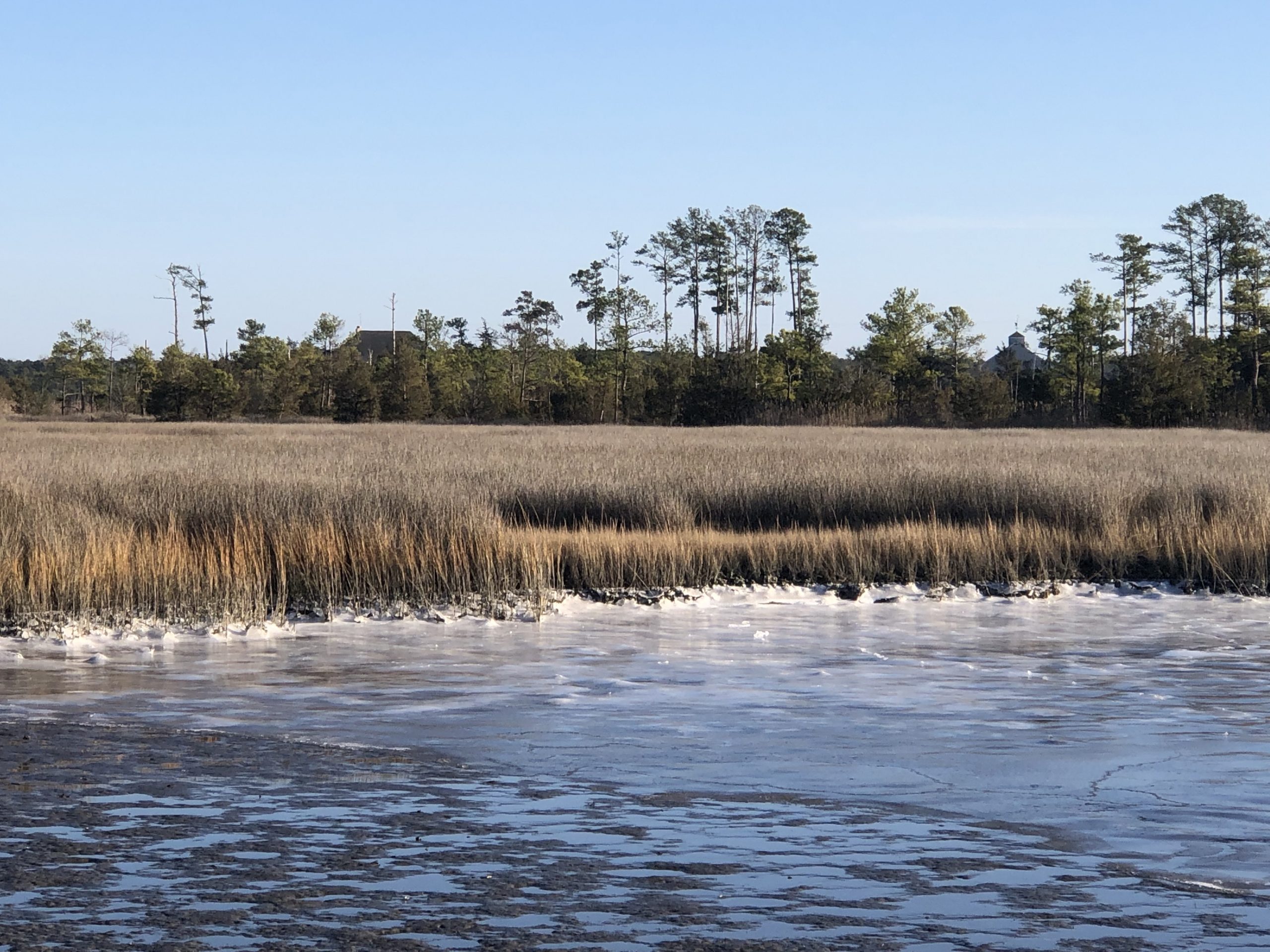 point icy creek 2