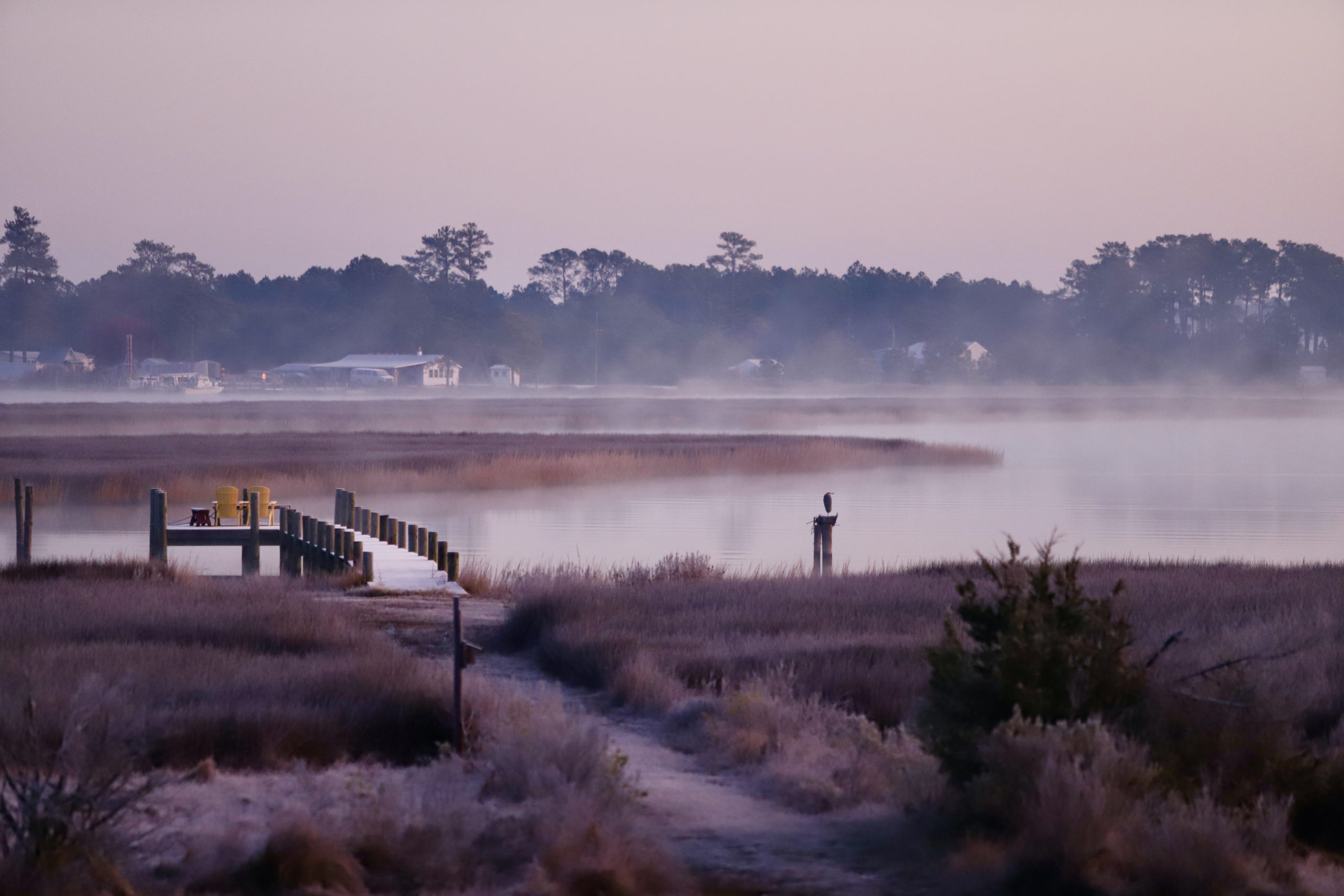 point morning fog