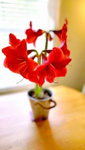 flower hudgins