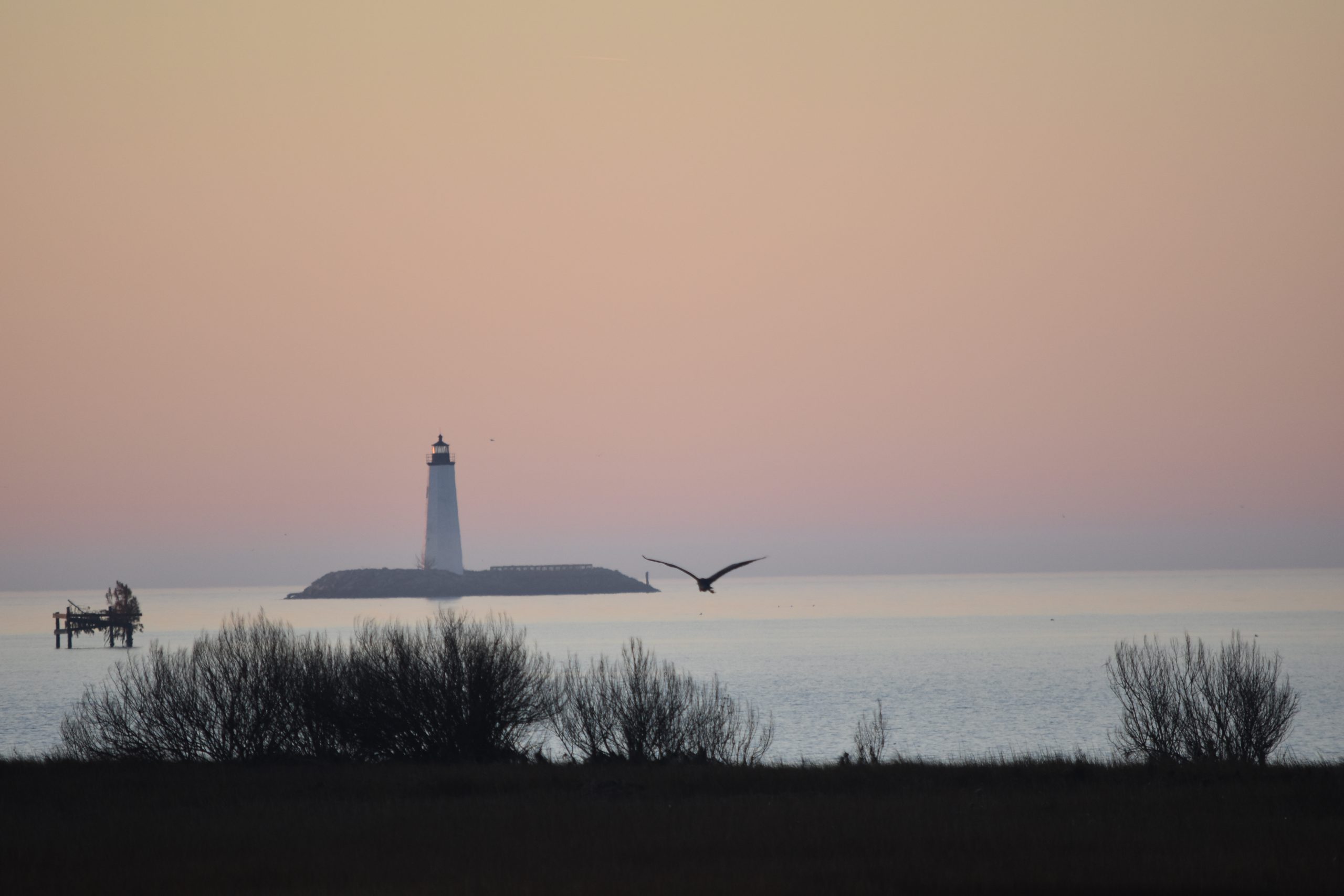 morning at new point light