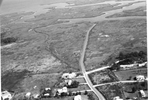 point guinea marshes, maryus, 1961