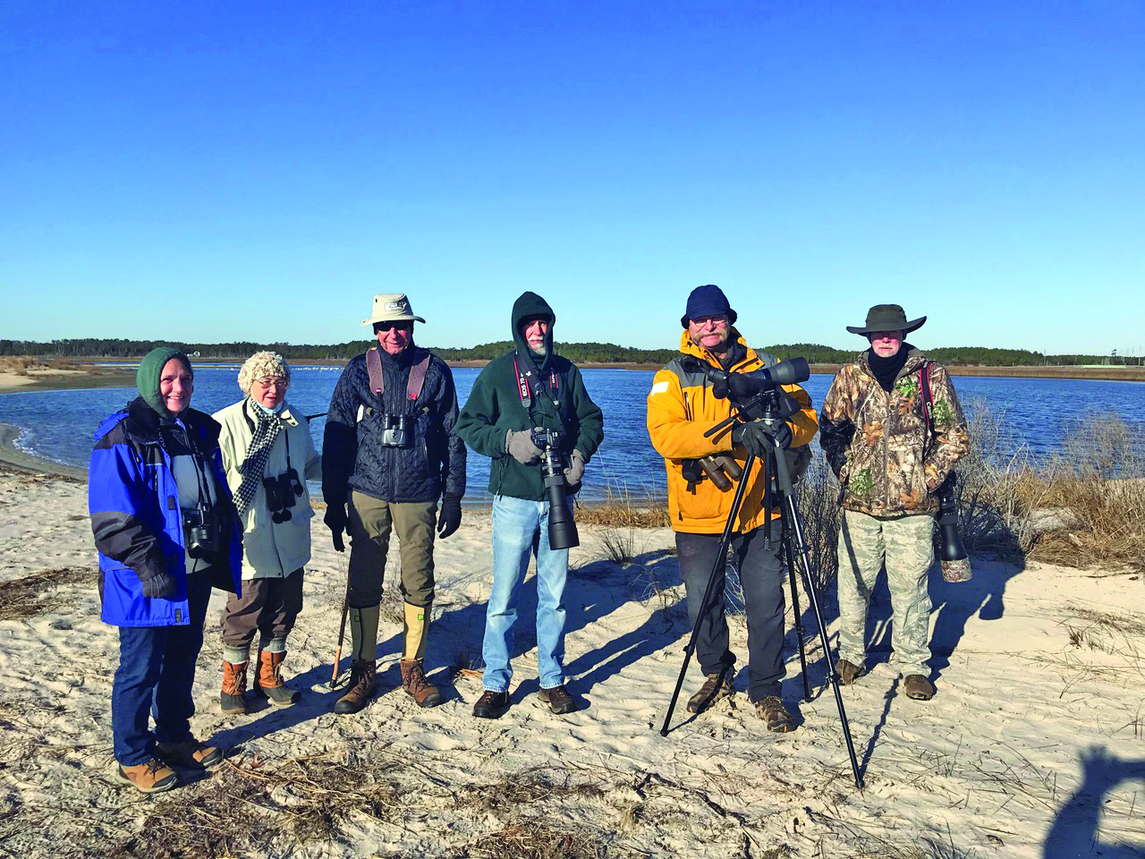 community bird count