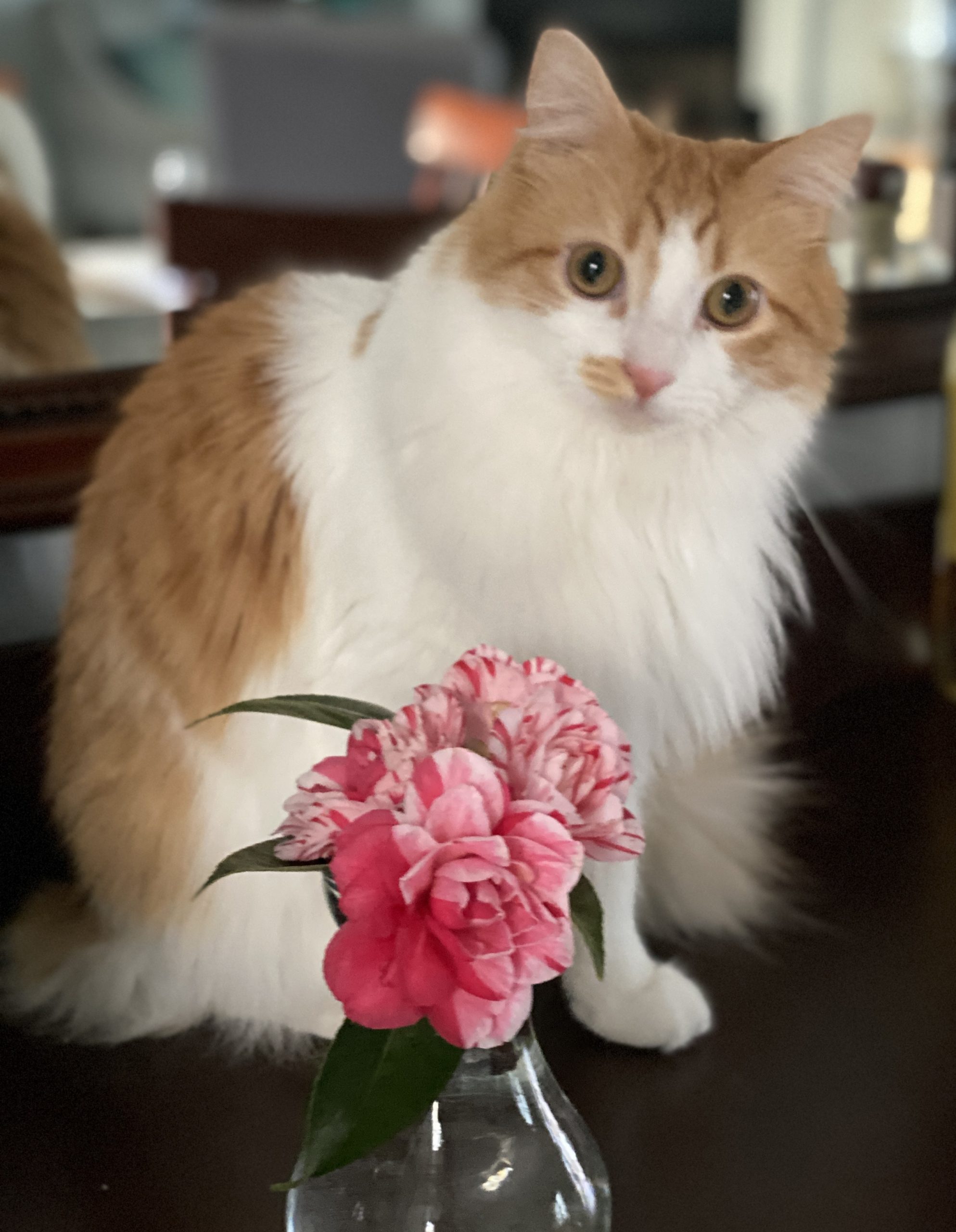 flower etc walker bake