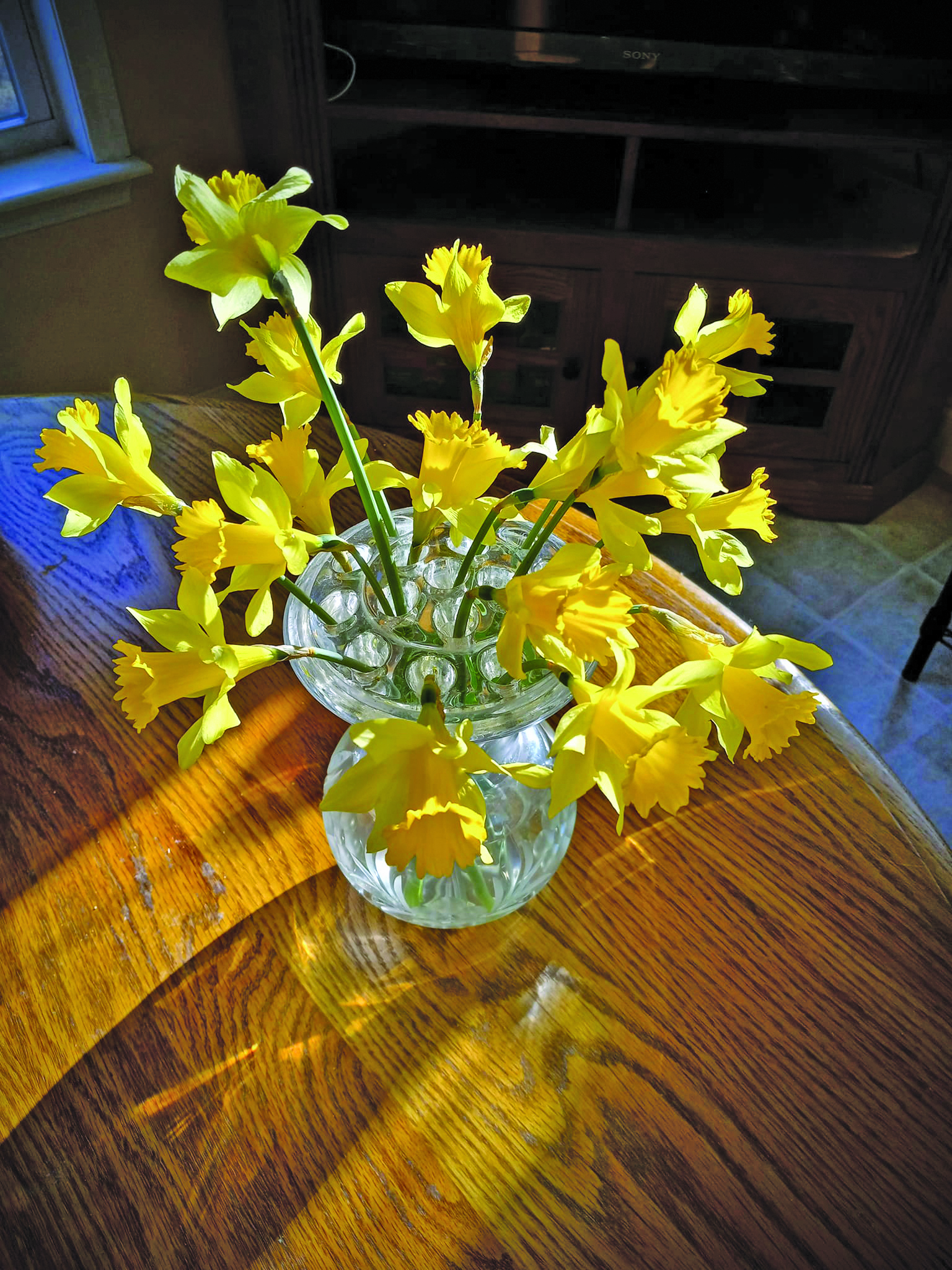 flower frantz
