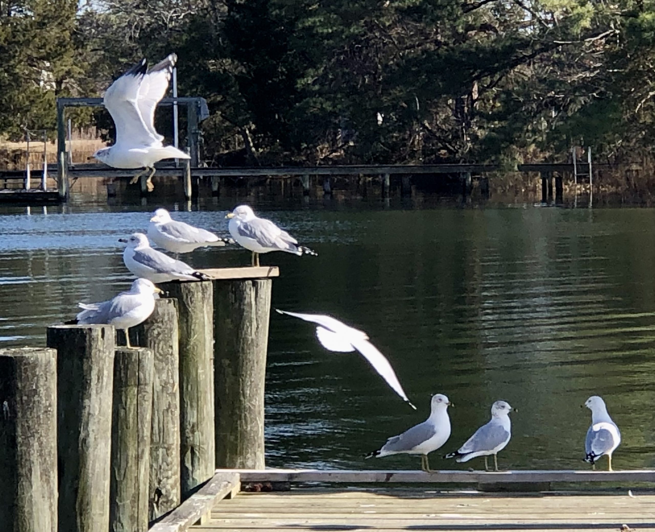 point john's point landing