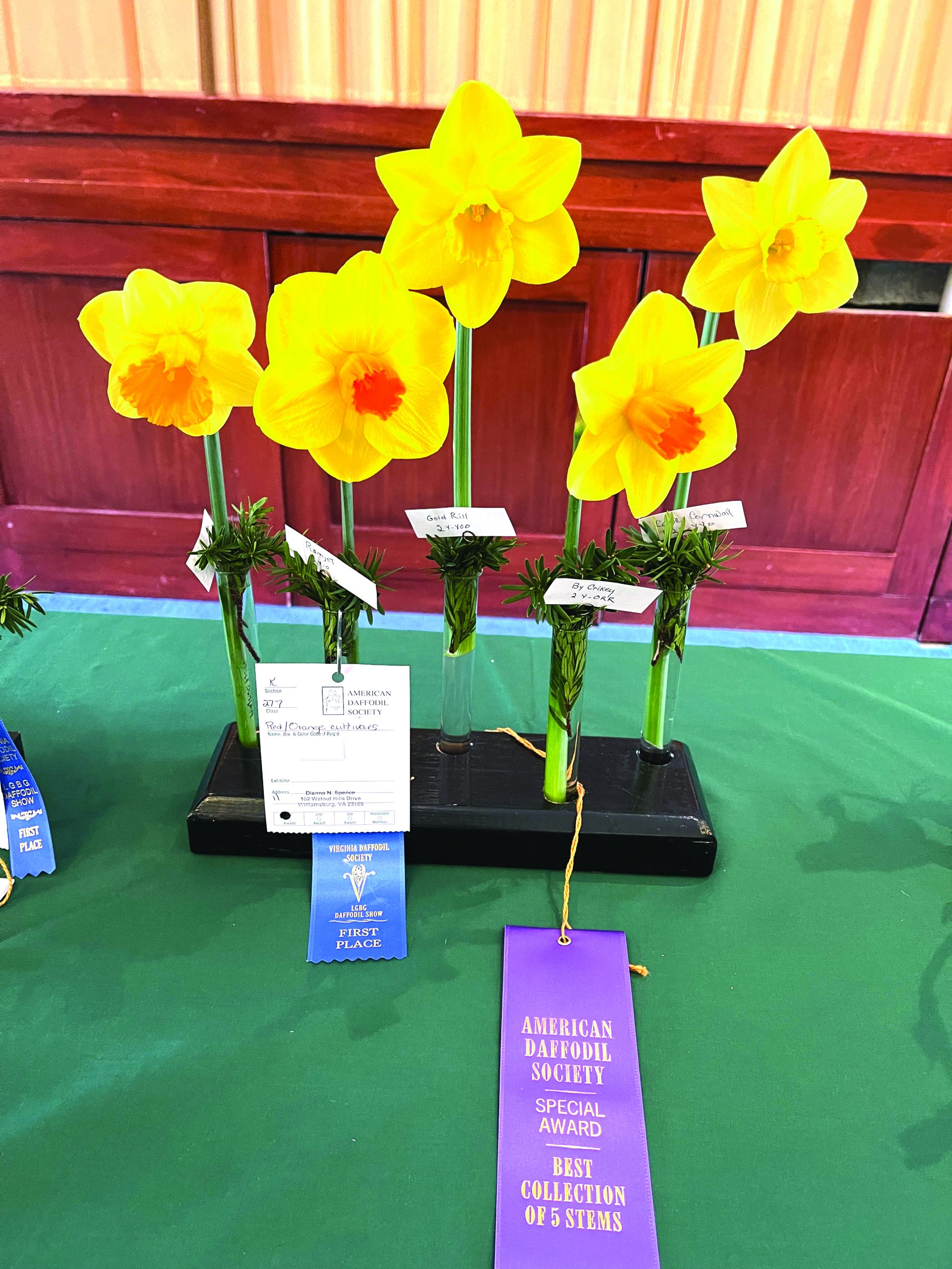 community daffodil club winners 3 30 23 2
