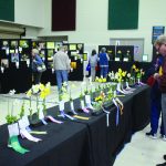 community daffodil show