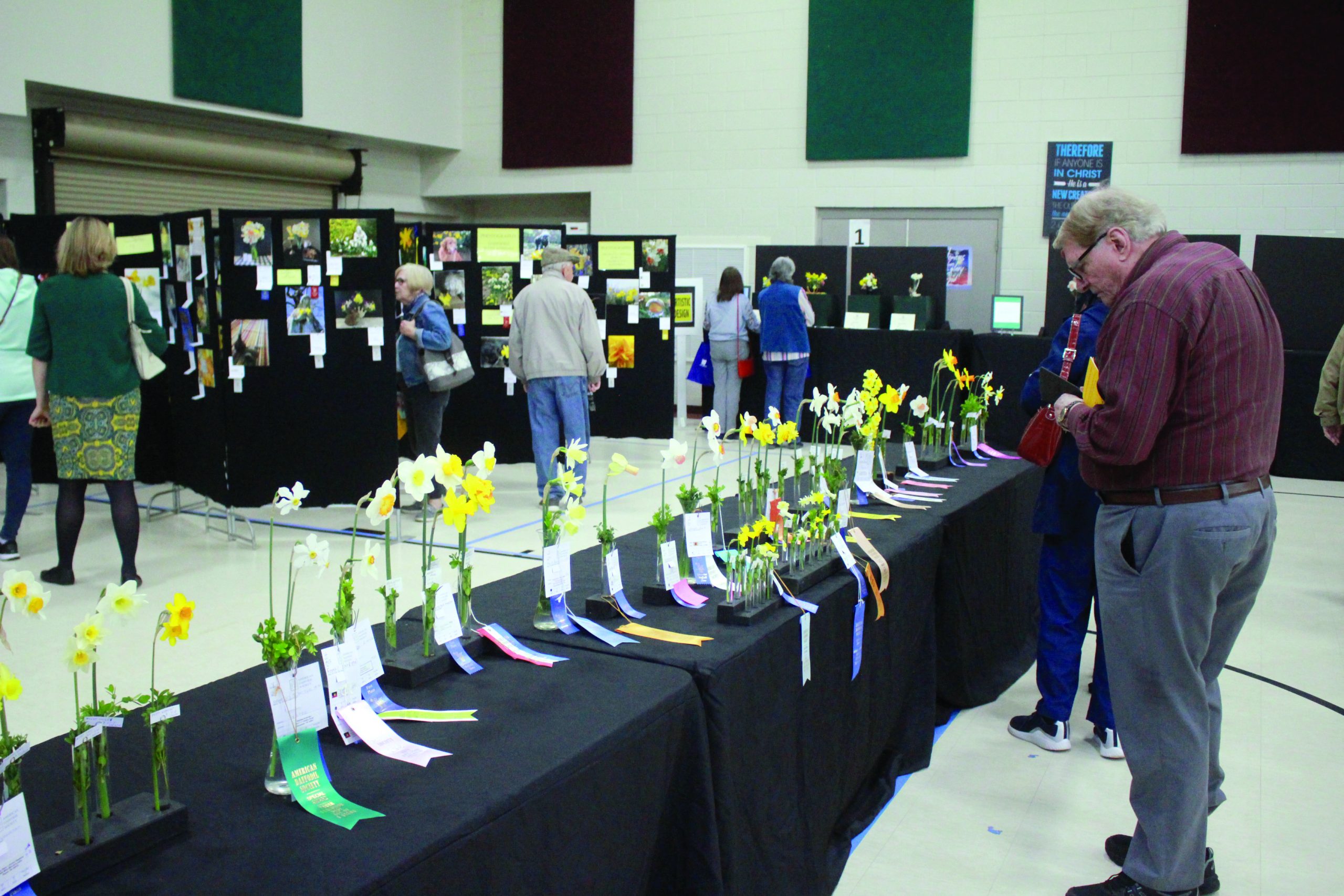 community daffodil show