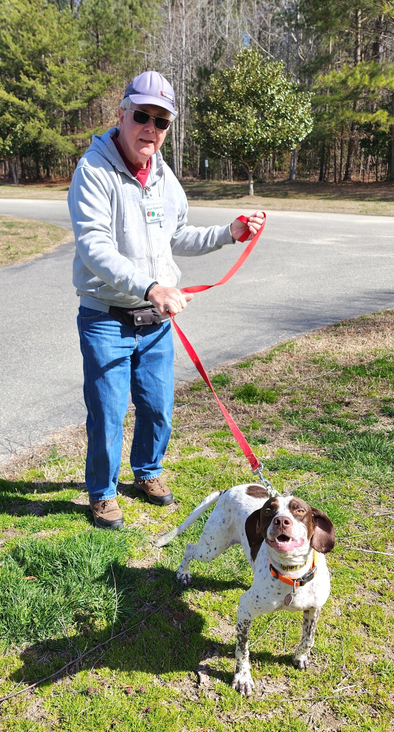 pet page volunteers