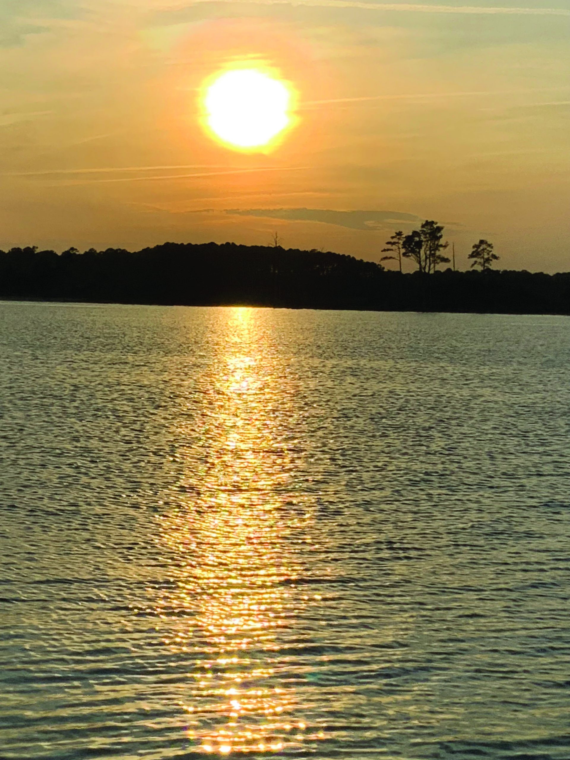 flower moughon sunset