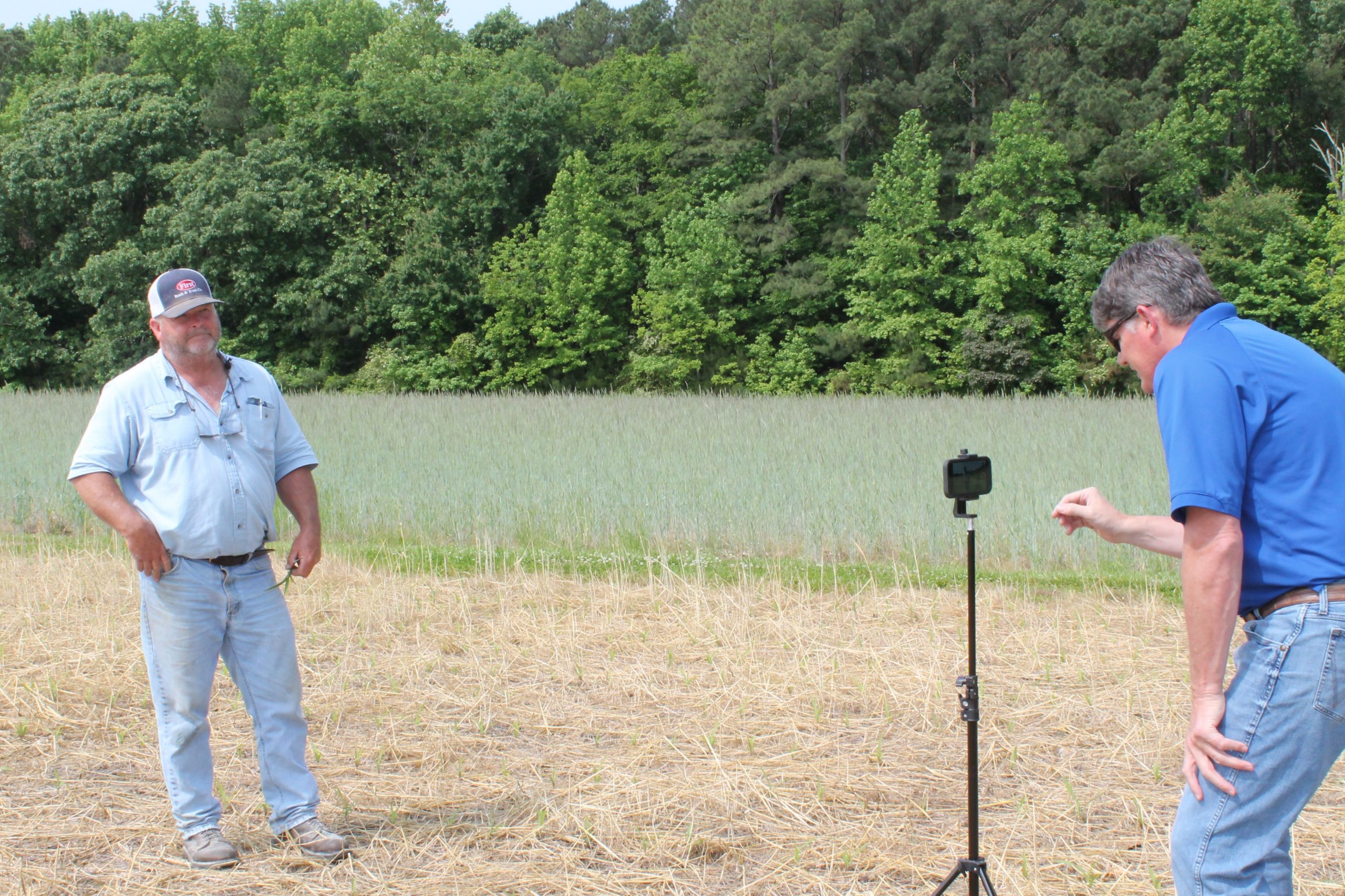 mathews farm bureau video respess 1