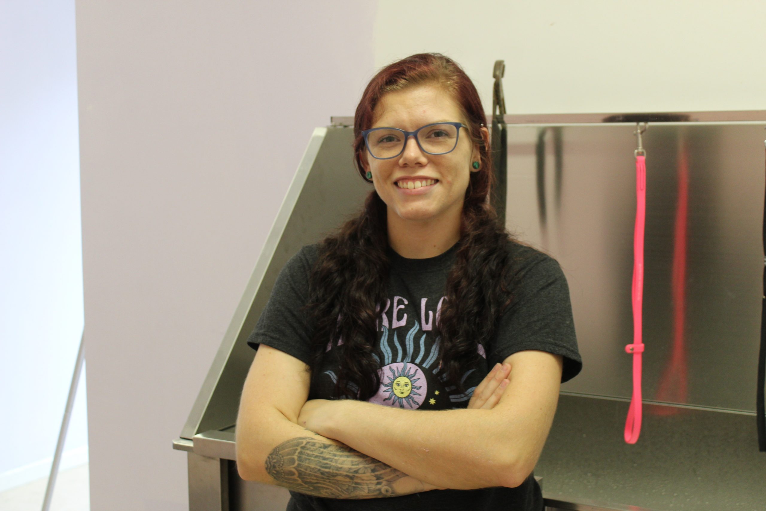business new dog groomers