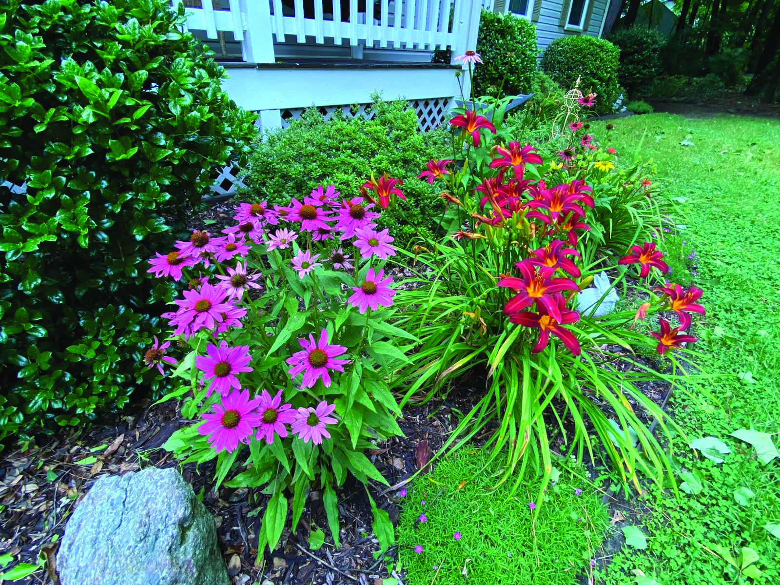 flower holt