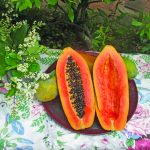 food papaya