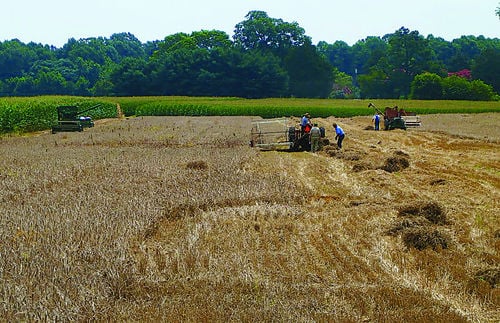 neighbors farm museum