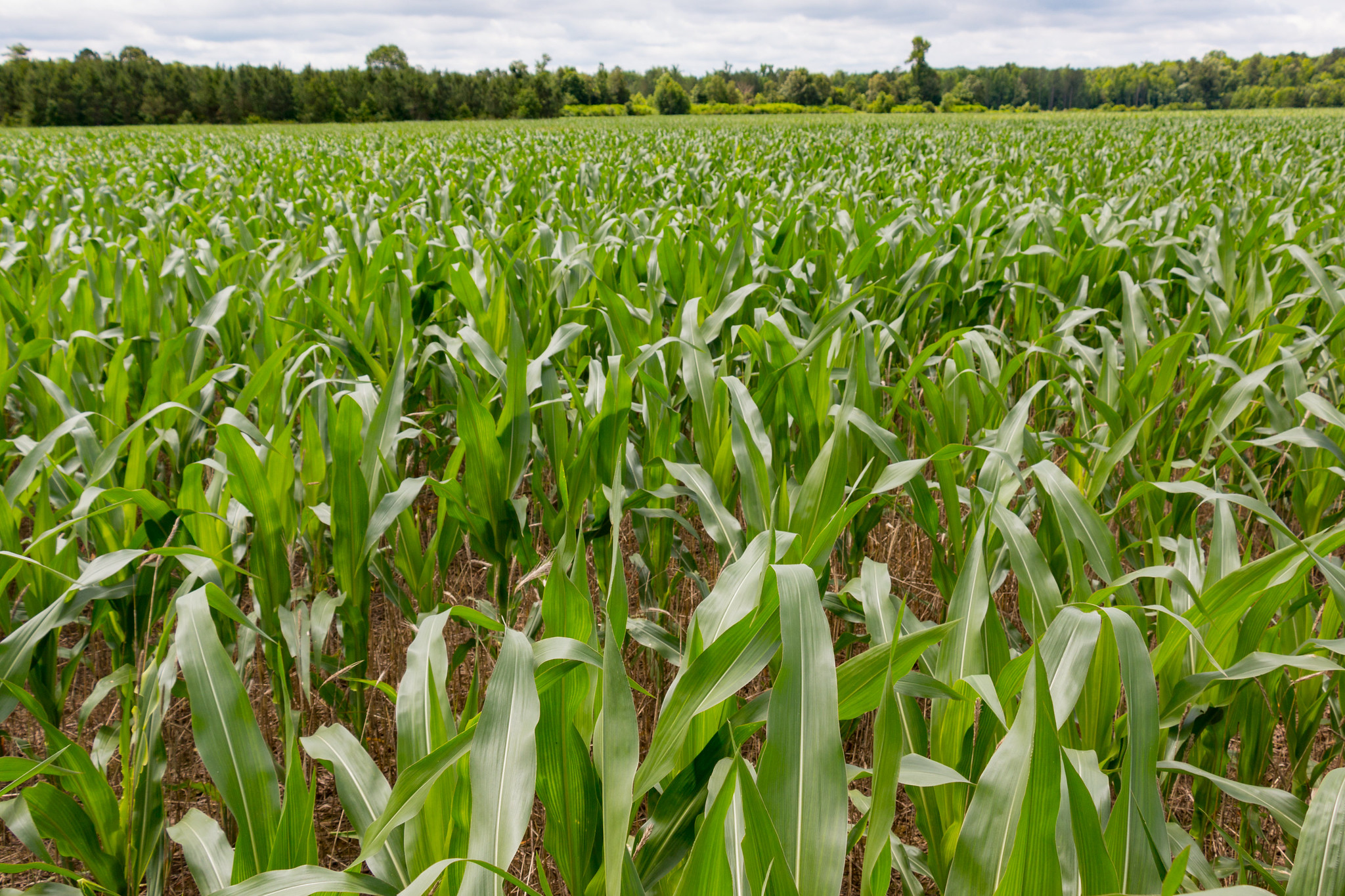 other news soil and water conservation