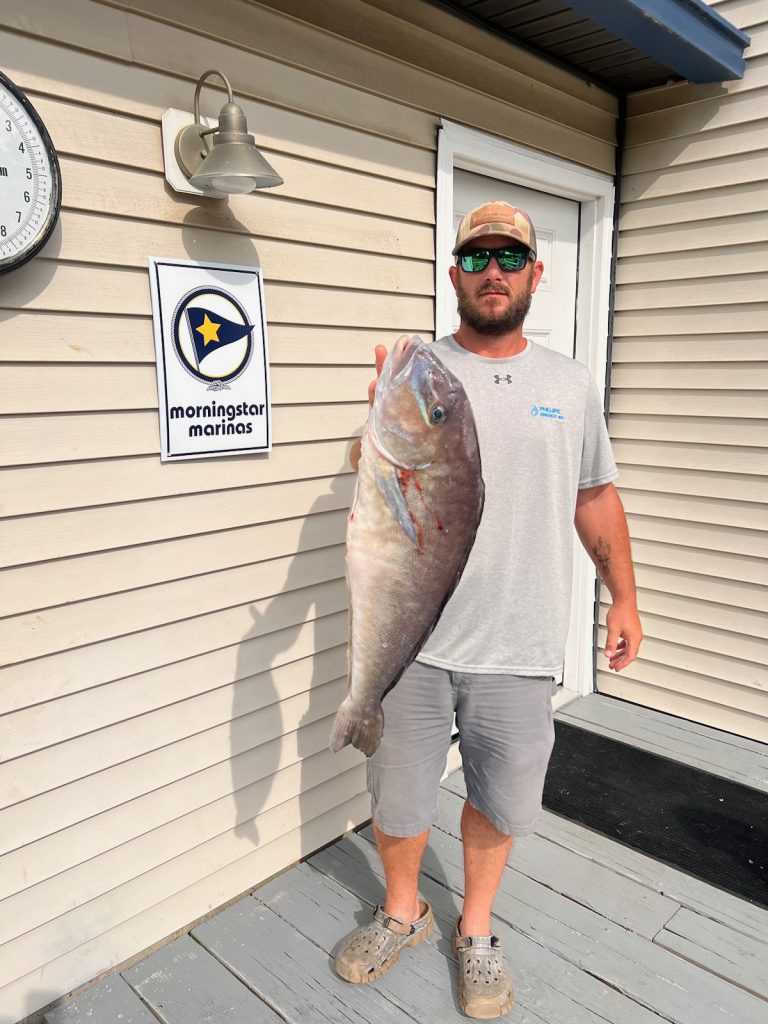 Citation tilefish – Gazette Journal
