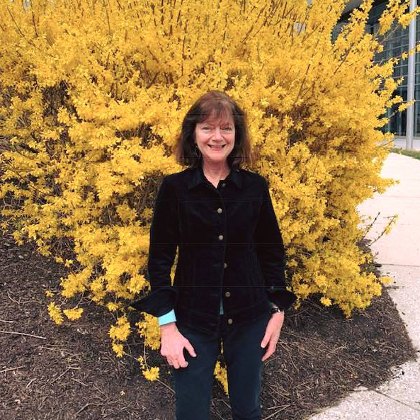 arts on main sept first friday bevelaqua