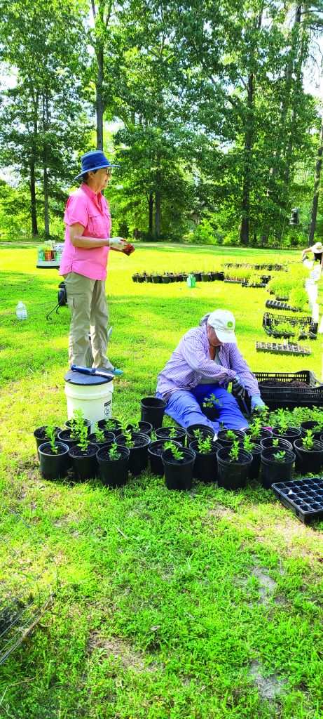 community master gardeners 2