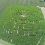 neighbors corn maze