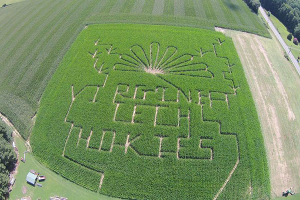 neighbors corn maze