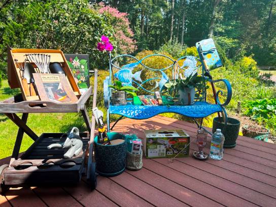 arts bay school auction