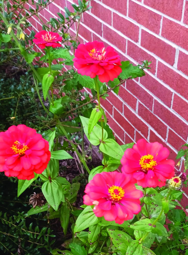flower hudgins