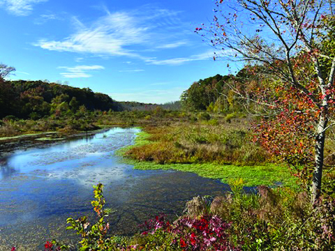 fall colors headwaters beaverdam