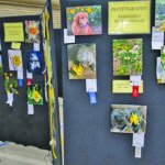 community daffodil show photography