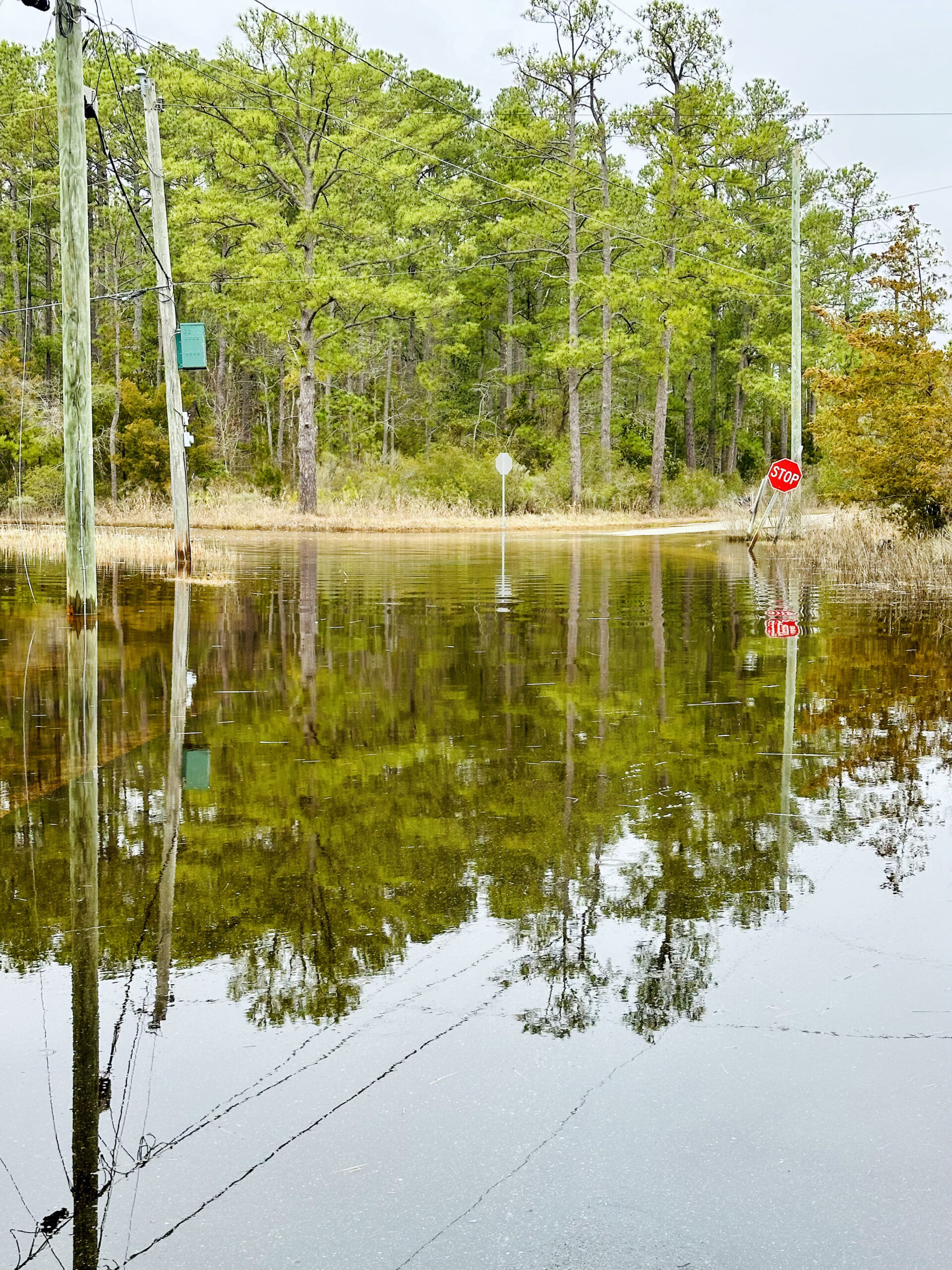 1a flooding photo