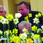 community daffodil show english judge 1