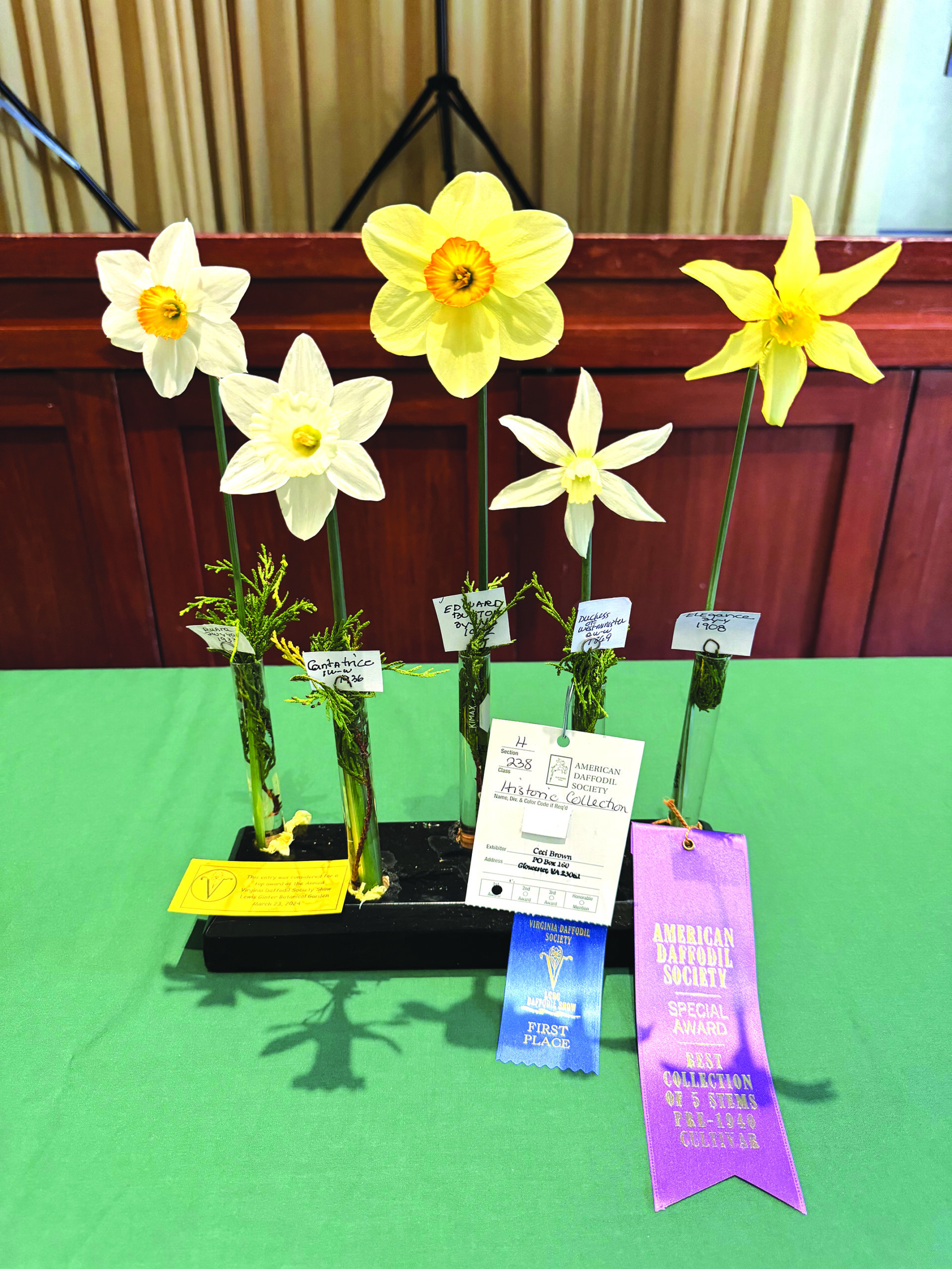 community daffodil award ceci brown