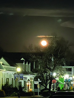 flower etc slavnik moon