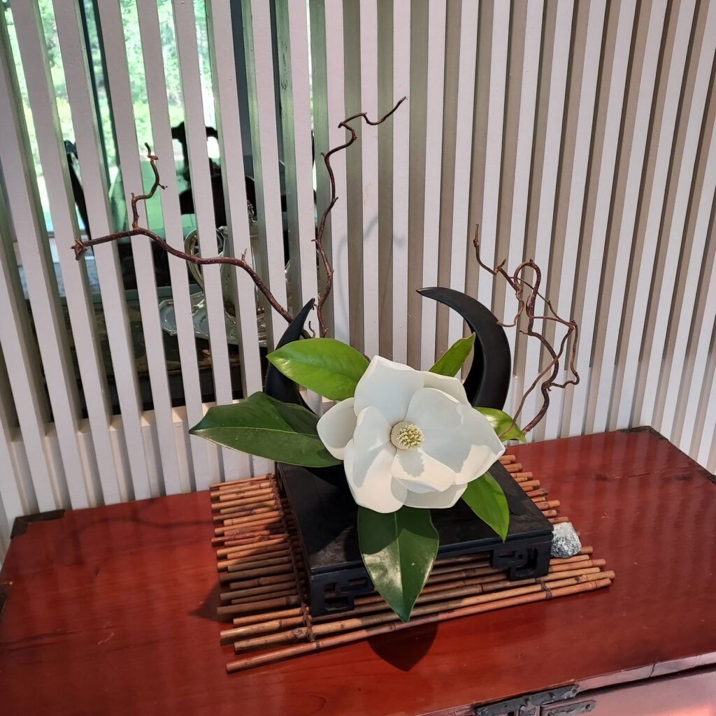 flower lawson magnolia